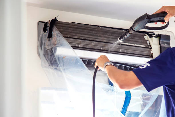 Best Air Duct Mold Removal  in Liberty Triangle, FL