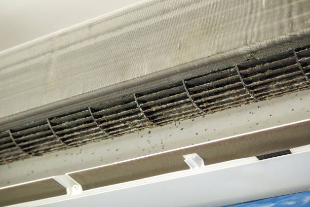 Best Commercial HVAC Duct Cleaning  in Liberty Triangle, FL